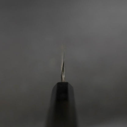 Yanagiba Blue Steel #2 Kurouchi Chokin Sakura-Fuji Buffalo Ebony Handle 210mm