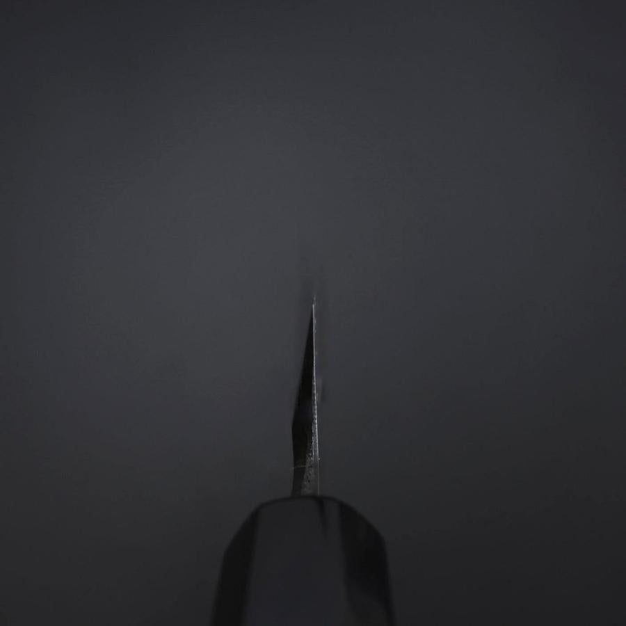 Yanagiba Blue Steel #2 Kurouchi Tsuchime Buffalo Ebony Handle 260mm