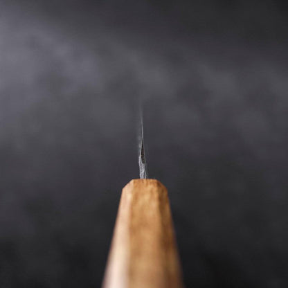 Yanagiba Blue Steel #2 Kurouchi Tsuchime Yaki Urushi Handle 210mm