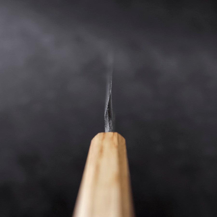 Yanagiba Blue Steel #2 Kurouchi Tsuchime Yaki Urushi Handle 270mm