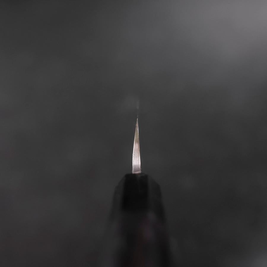 Yanagiba VG-10 Kasumi Buffalo Ebony Handle 300mm