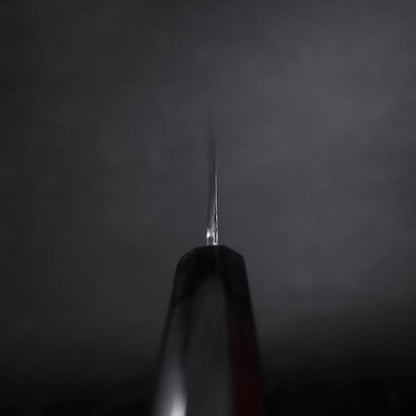 Yanagiba VG-10 Mirror Kasumi Shitan Ebony Handle 270mm