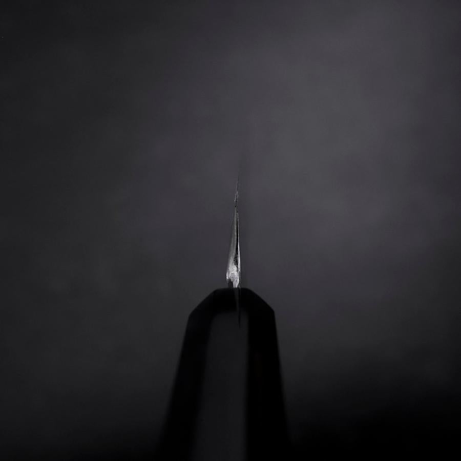 Yanagiba VG-10 Mirror Kasumi Shitan Ebony Handle 300mm