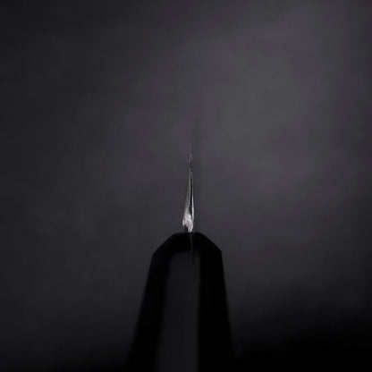 Yanagiba VG-10 Mirror Kasumi Shitan Ebony Handle 300mm